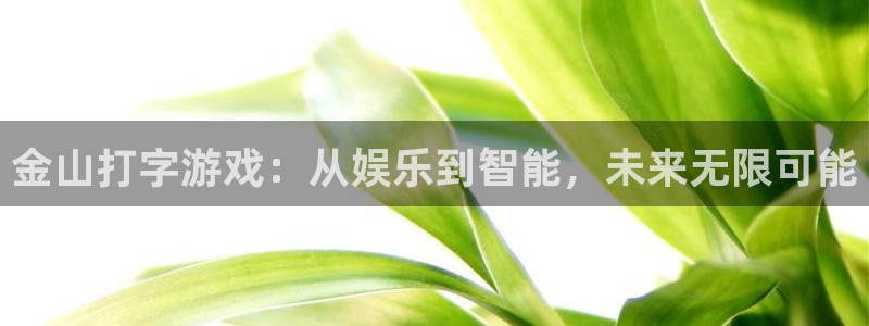 天辰娱乐4招商：金山打字游戏：从娱乐到智能，未来无限可能
